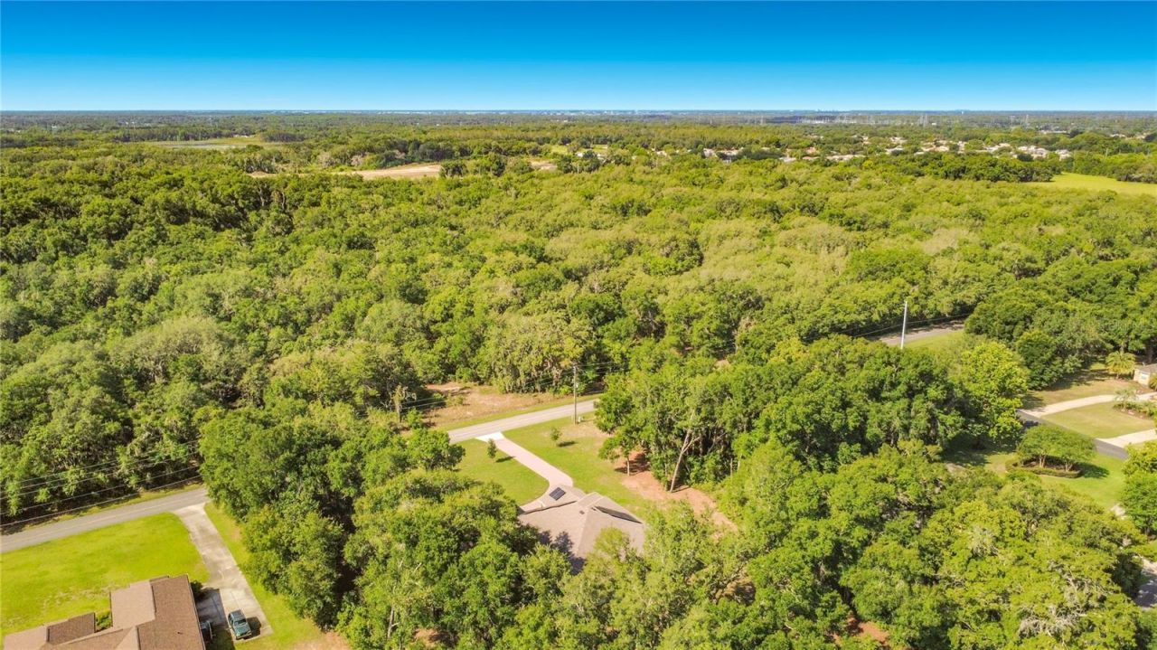 1549 Lewis Road, Fruitland Park, FL 34731 Photo