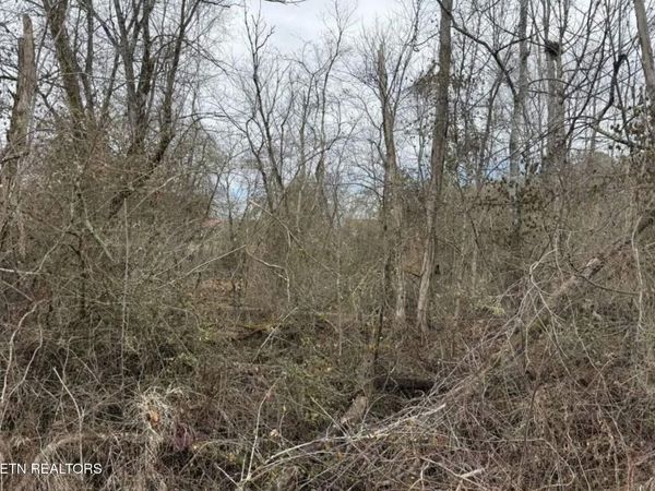 Balboa Drive, Rockwood, TN 37854