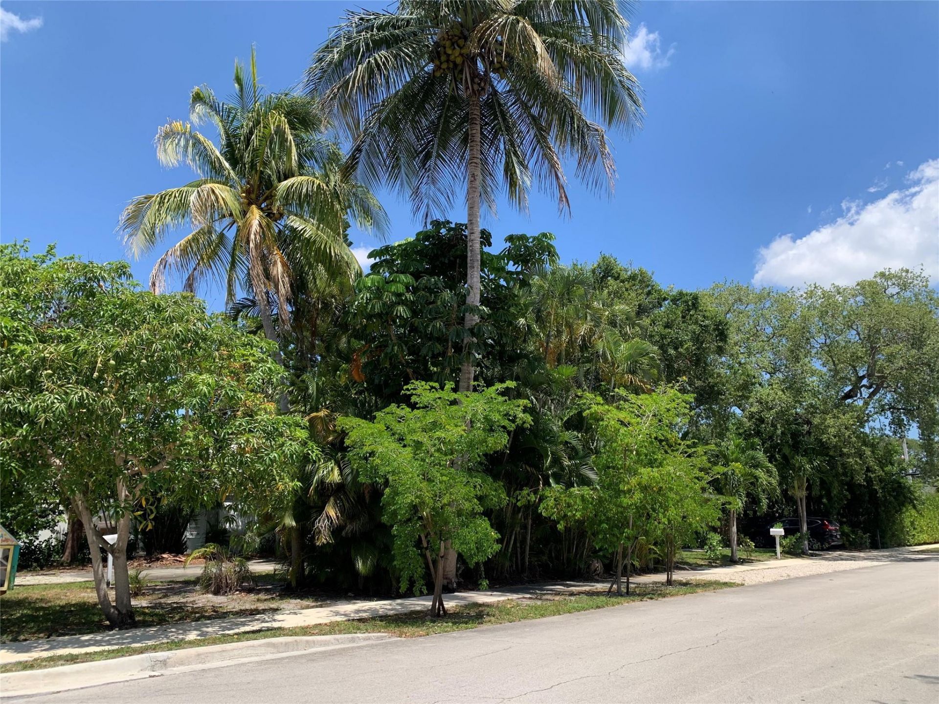 801 SW 10th Street, Unit 2, Fort Lauderdale, FL 33315 Photo