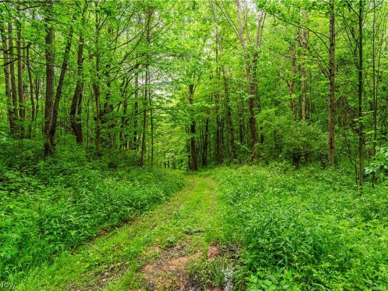 Edie Hill Road Road , Uhrichsville, OH 44683 Photo 10