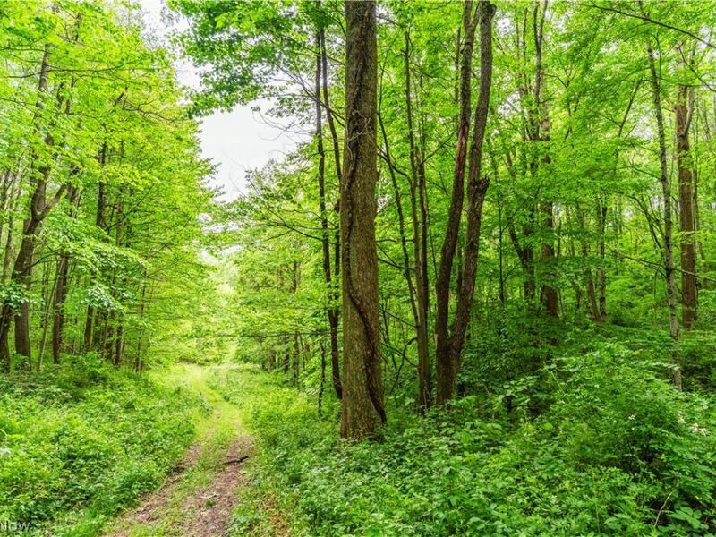 Edie Hill Road Road , Uhrichsville, OH 44683 Photo 11