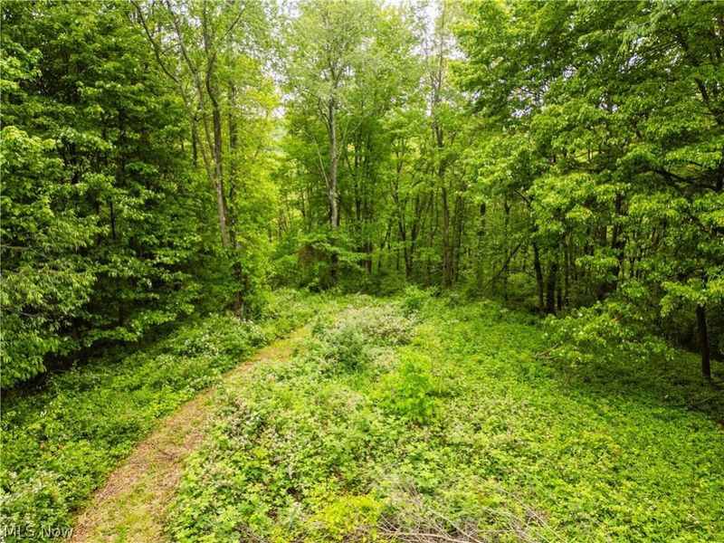 Edie Hill Road Road , Uhrichsville, OH 44683 Photo 3
