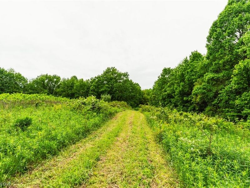 Edie Hill Road Road , Uhrichsville, OH 44683 Photo 8