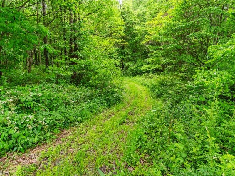 Edie Hill Road Road , Uhrichsville, OH 44683 Photo 9