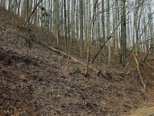 Lot 15 Emerald Springs Loop, Sevierville, TN 37862