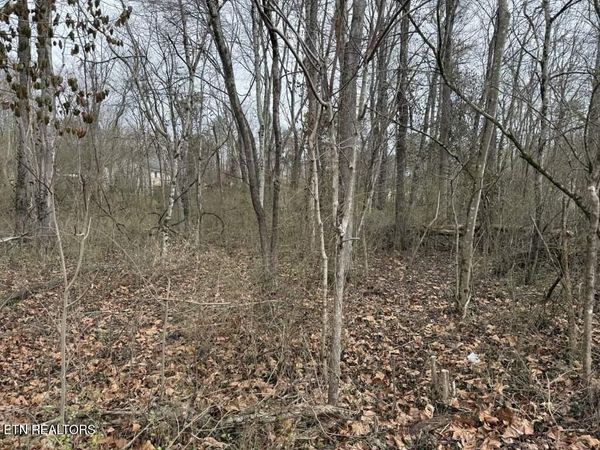 164 Jodys Lane, Rockwood, TN 37854