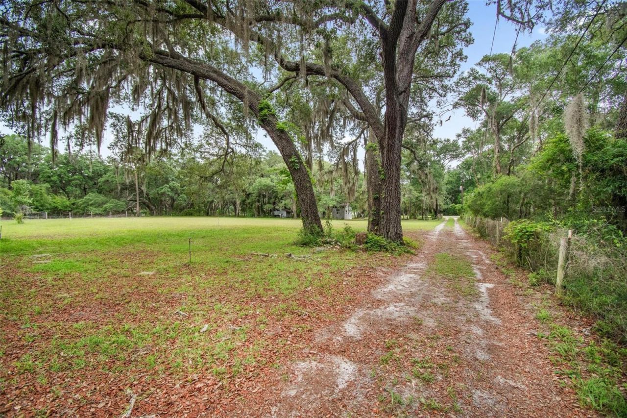156 Kingfish Road, Pomona Park, FL 32181 Photo
