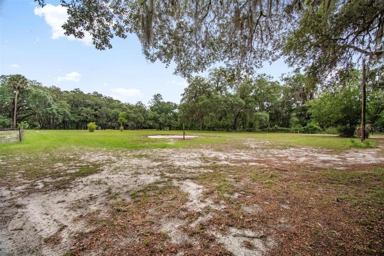 156 Kingfish Road, Pomona Park, FL 32181 Photo
