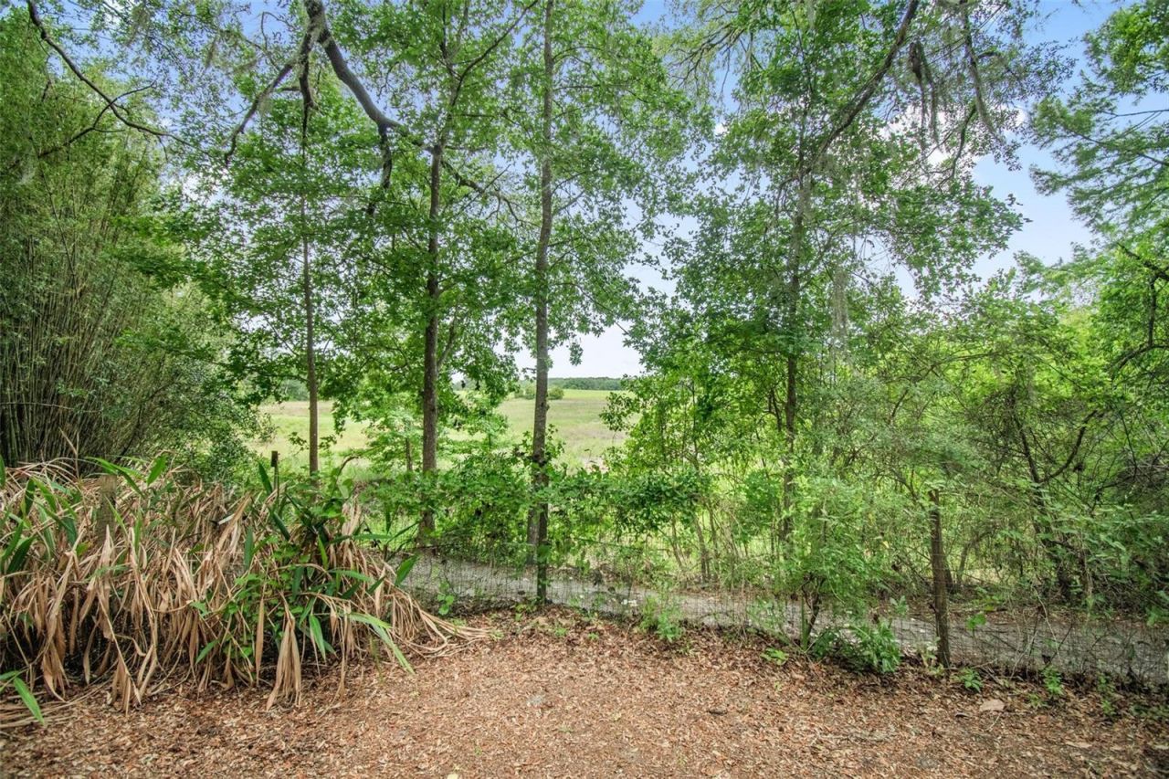 156 Kingfish Road, Pomona Park, FL 32181 Photo