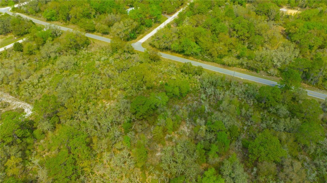 35166 Cornerstone Drive , Webster, FL 33597 Photo