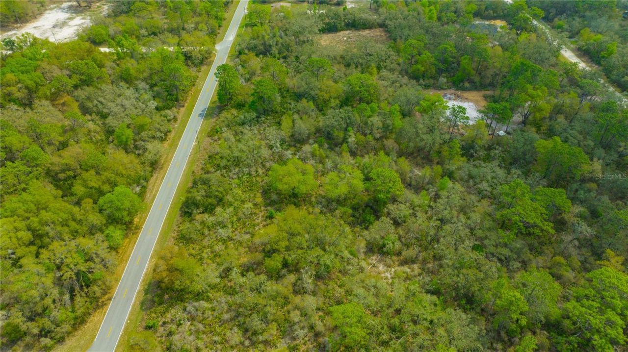 35166 Cornerstone Drive , Webster, FL 33597 Photo