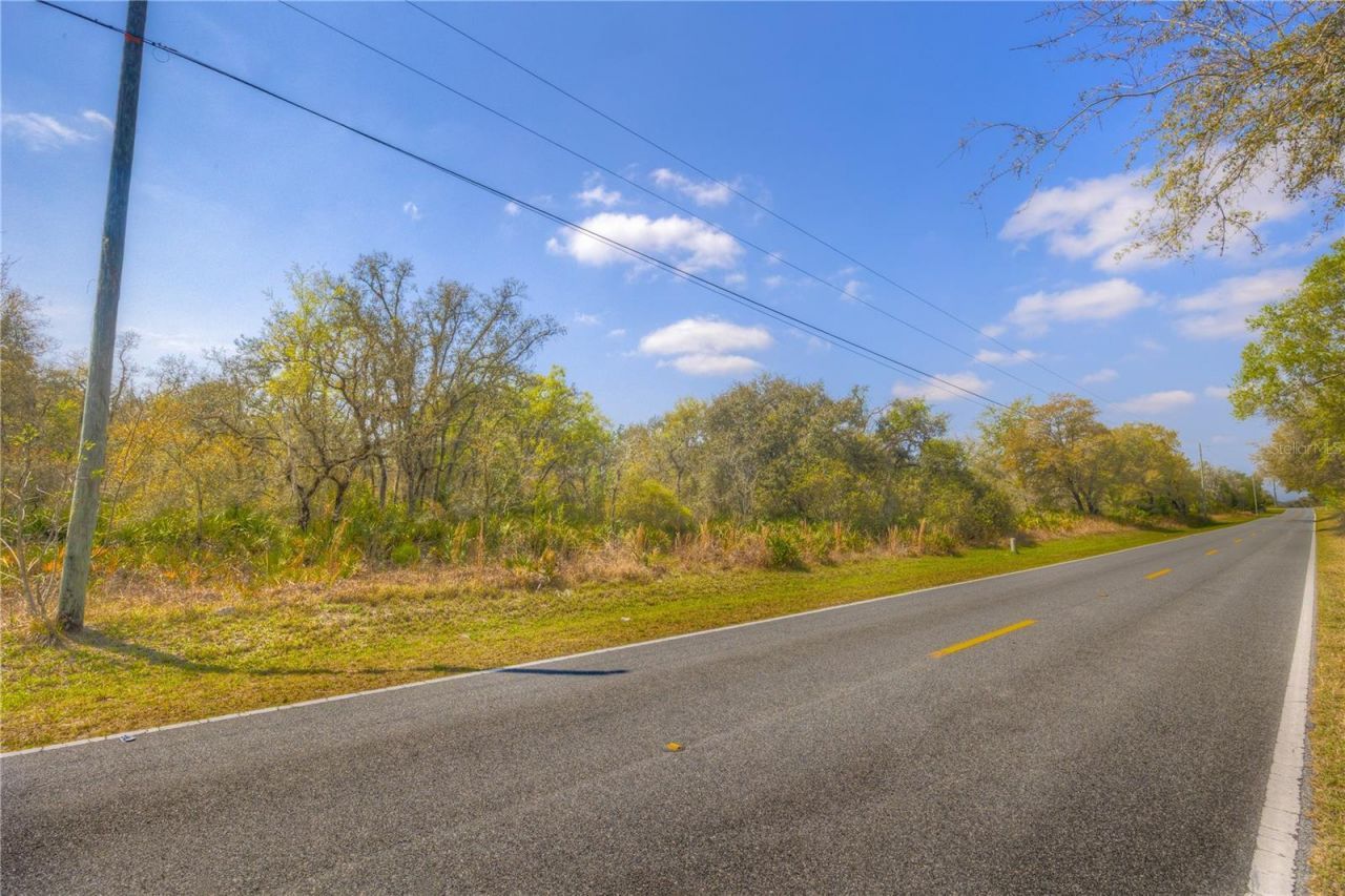 35166 Cornerstone Drive , Webster, FL 33597 Photo