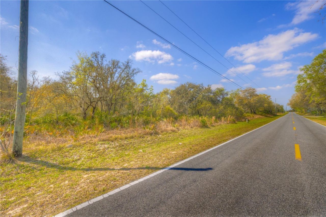 35166 Cornerstone Drive , Webster, FL 33597 Photo
