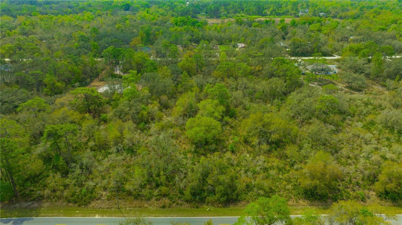 35166 Cornerstone Drive , Webster, FL 33597 Photo