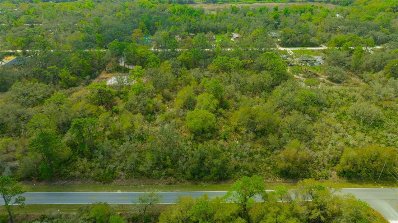 35166 Cornerstone Drive , Webster, FL 33597 Photo