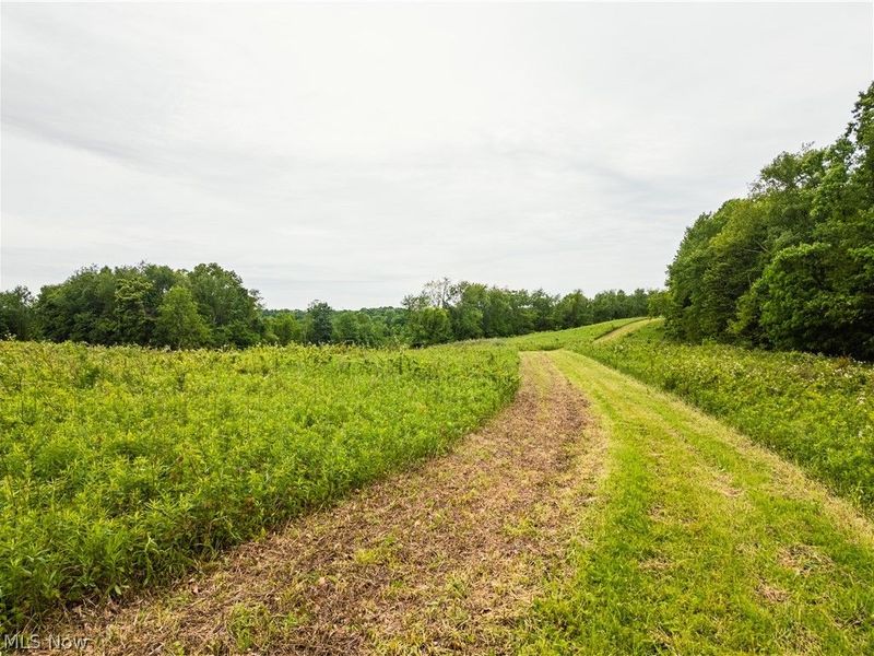 Edie Hill Road Road, Uhrichsville, OH 44683 Photo 5