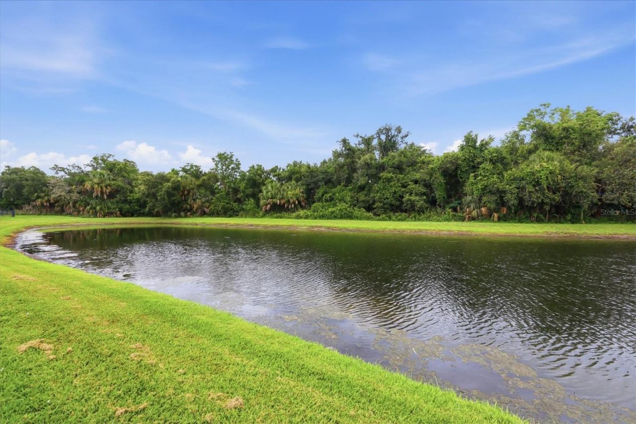 12218 Lavender Loop , Bradenton, FL 34212 Photo