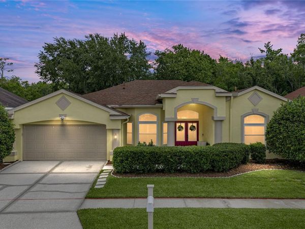 1808 TANGLEDVINE DRIVE, WESLEY CHAPEL, FL 33543