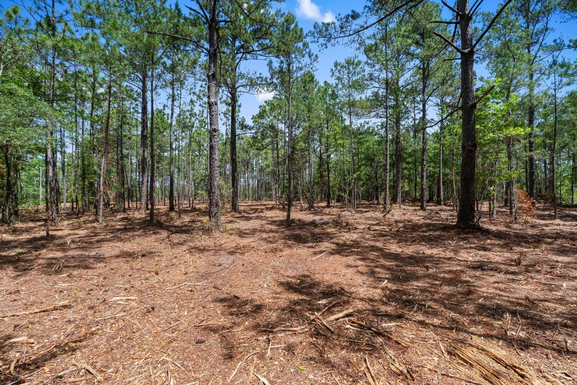 3600 Water Tower Rd.  Photo 10