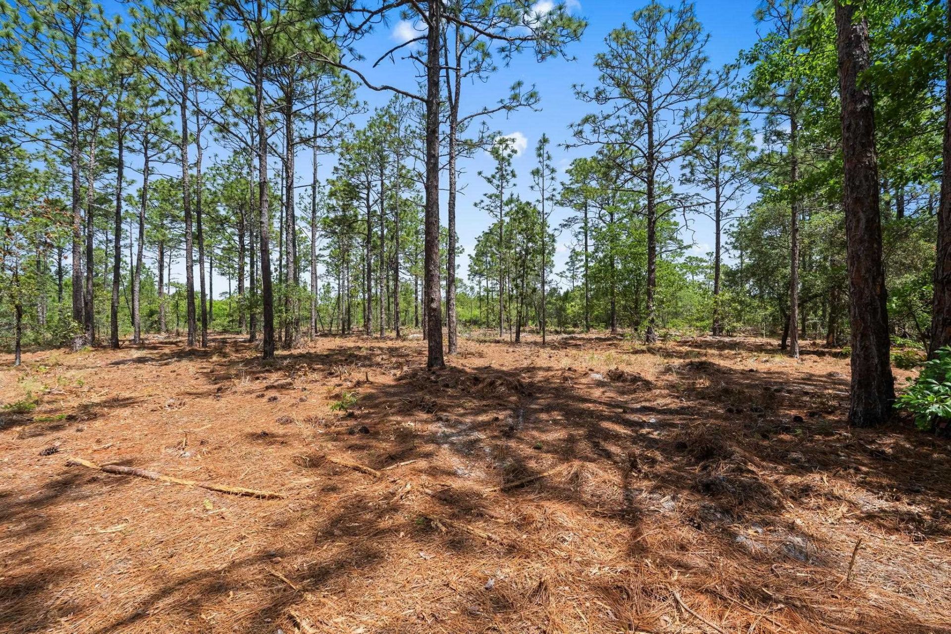 3600 Water Tower Rd.  Photo 15