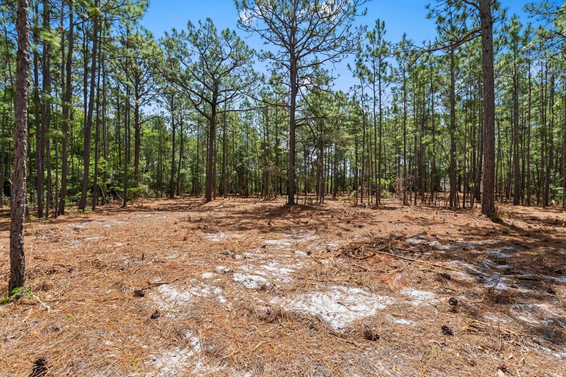 3600 Water Tower Rd.  Photo 17