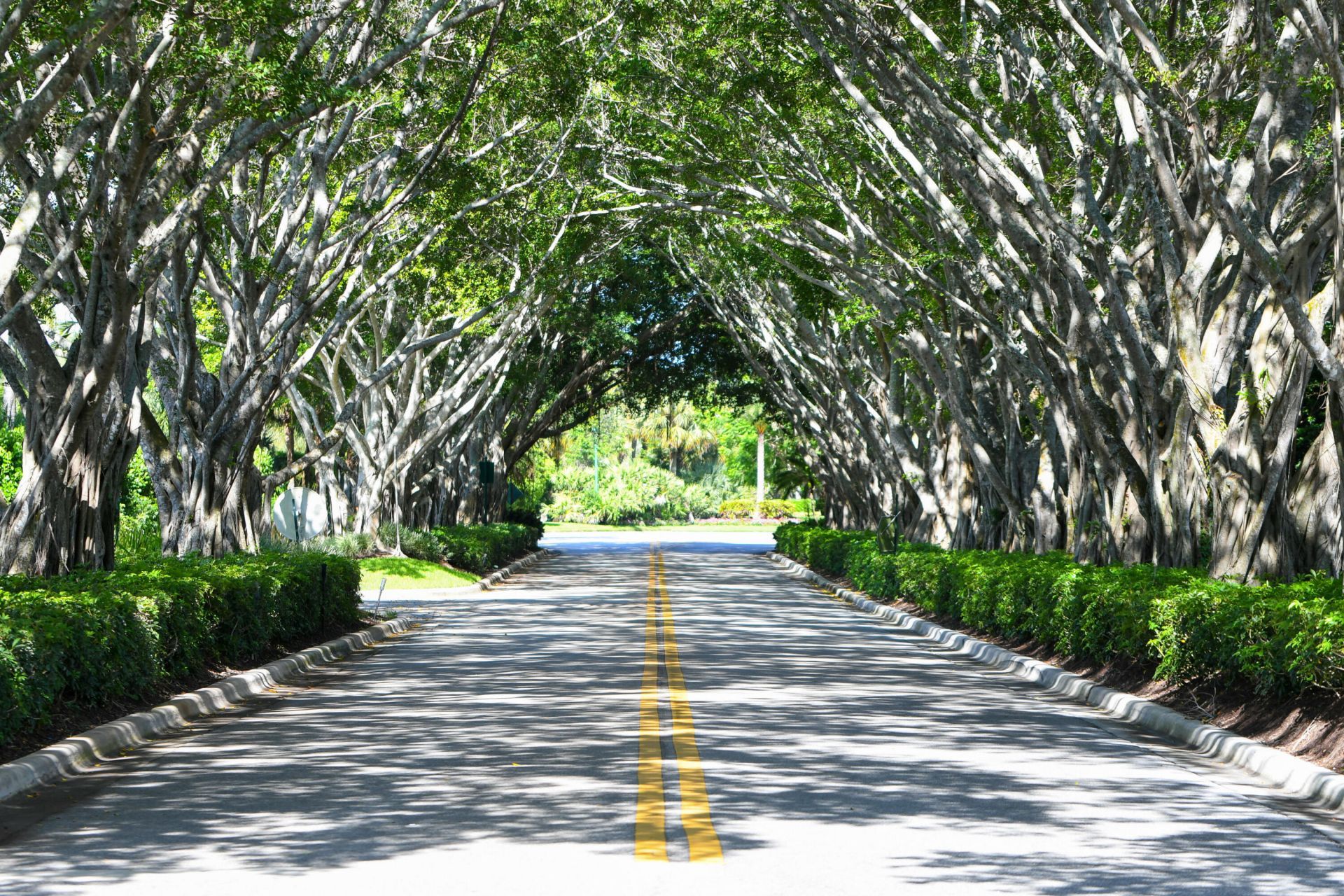 8197 Cypress Point Road, West Palm Beach, FL 33412 Photo
