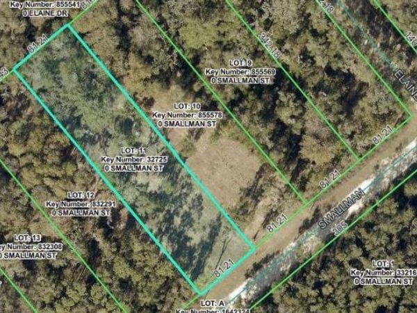 SMALLMAN STREET , WEBSTER, FL 33597