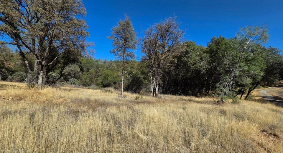 11465 Rex Reservoir Rd, Rough and Ready, CA 95975 Photo