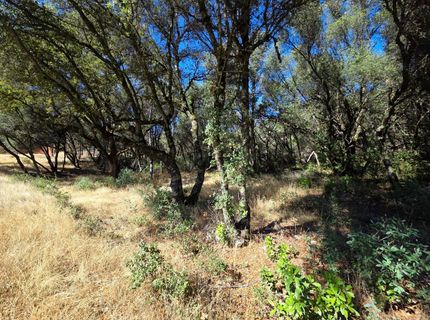 11465 Rex Reservoir Rd, Rough and Ready, CA 95975 Photo