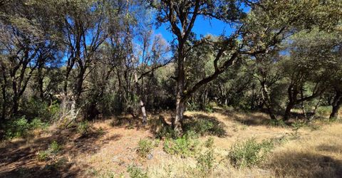 11465 Rex Reservoir Rd, Rough and Ready, CA 95975 Photo