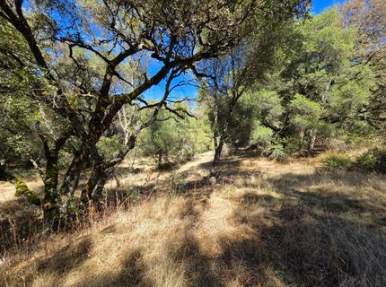 11465 Rex Reservoir Rd, Rough and Ready, CA 95975 Photo