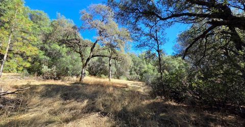 11465 Rex Reservoir Rd, Rough and Ready, CA 95975 Photo