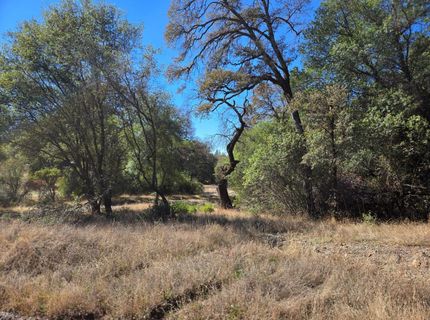 11465 Rex Reservoir Rd, Rough and Ready, CA 95975 Photo