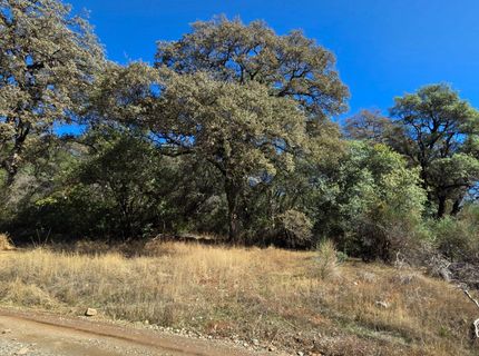 11465 Rex Reservoir Rd, Rough and Ready, CA 95975 Photo