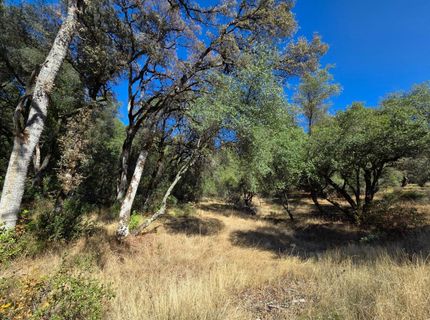 11465 Rex Reservoir Rd, Rough and Ready, CA 95975 Photo