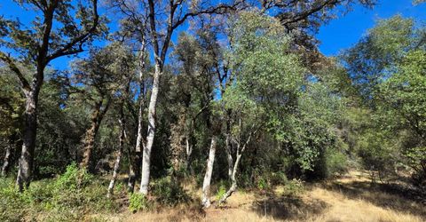 11465 Rex Reservoir Rd, Rough and Ready, CA 95975 Photo