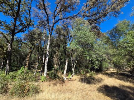 11465 Rex Reservoir Rd, Rough and Ready, CA 95975 Photo