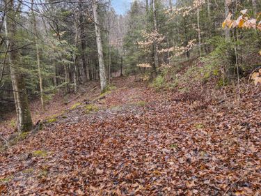 0 0 South Fork Road, Stanton, KY 40380