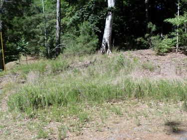 CASTLE DRIVE , MONTROSS, VA 22520