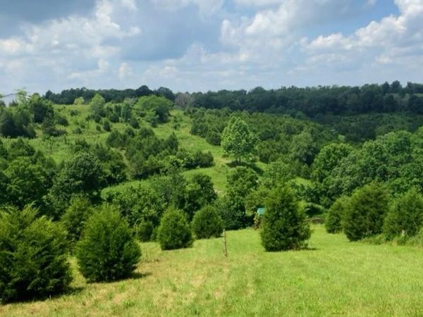 8530 HWY 22 East, Owenton, KY 40359