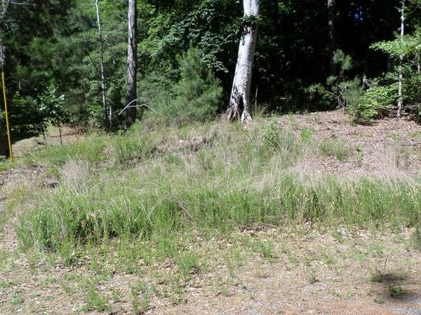 0 Castle Drive, MONTROSS, VA 22520