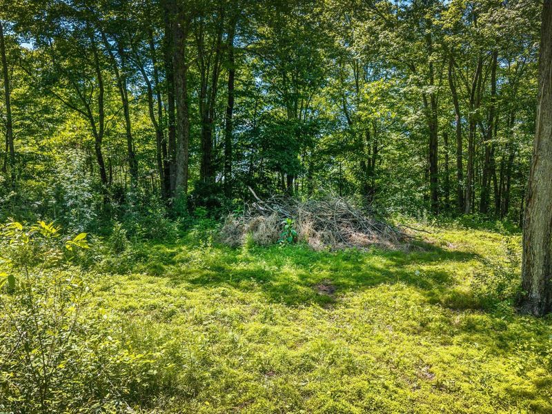19703 Township Road 76b, Warsaw, OH 43844 Photo 6