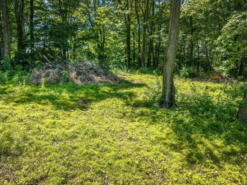 19703 Township Road 76b, Warsaw, OH 43844 Photo 7