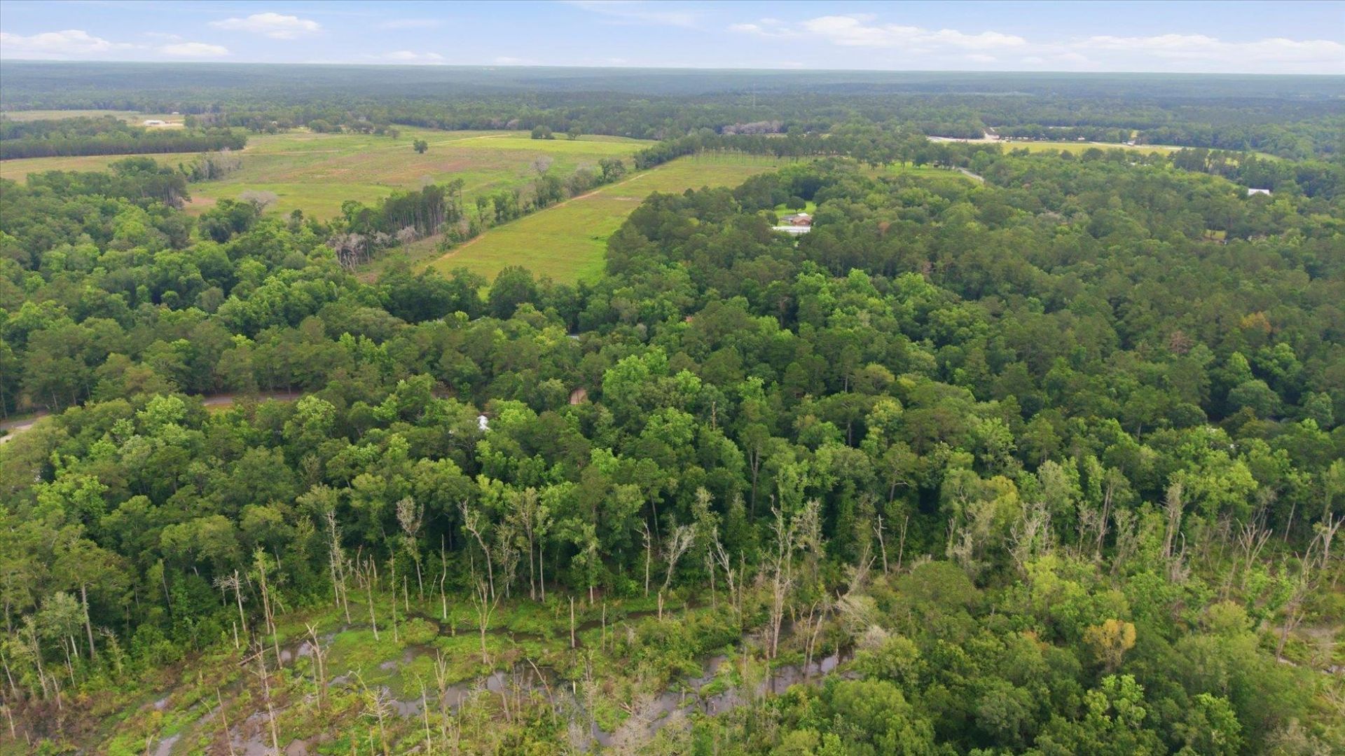 521 Conrad Hills Road, Havana, FL 32333 Photo