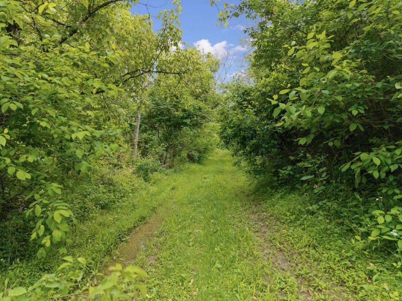 925 Lockmier Road, Augusta, KY 41002 Photo 8