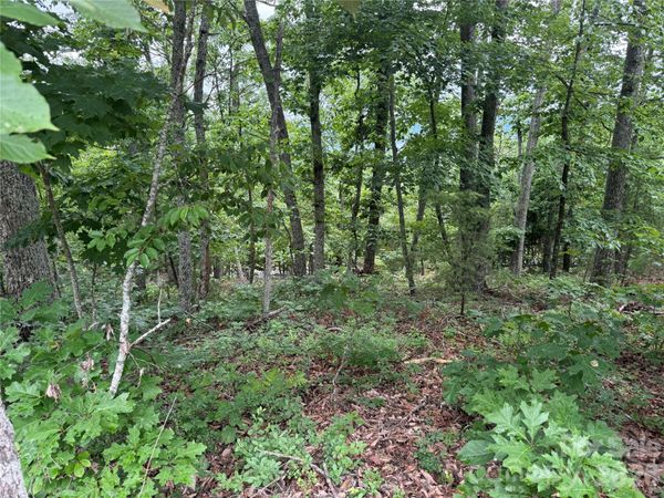 0 Arbra Mountain Way , Bostic, NC 28018