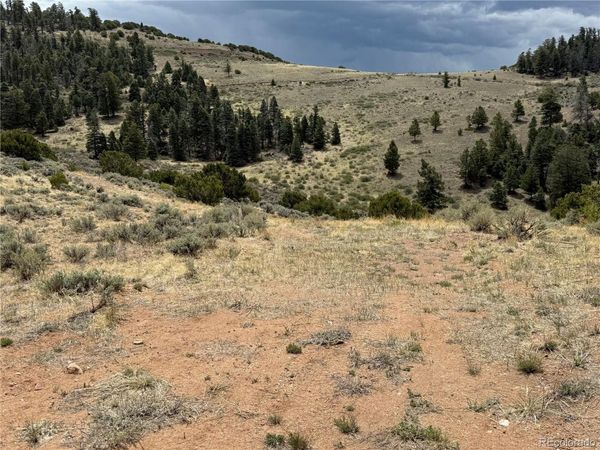 Lot 5428 Balleroy Road , Fort Garland, CO 81133