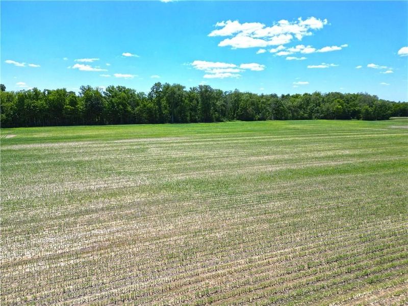 Tract 3 Hedges Road, Xenia Township, OH 45385 Photo 12