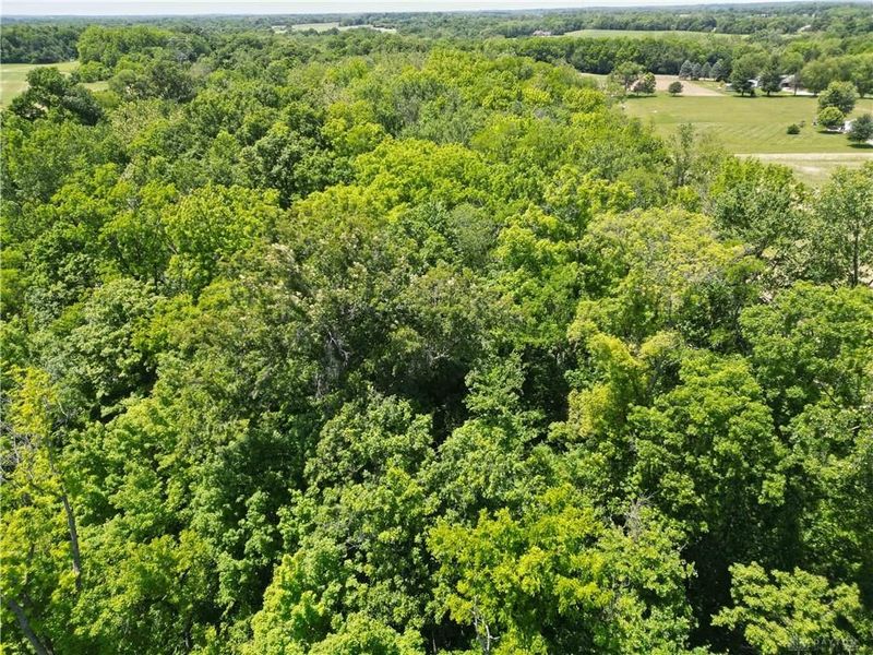 Tract 3 Hedges Road, Xenia Township, OH 45385 Photo 14