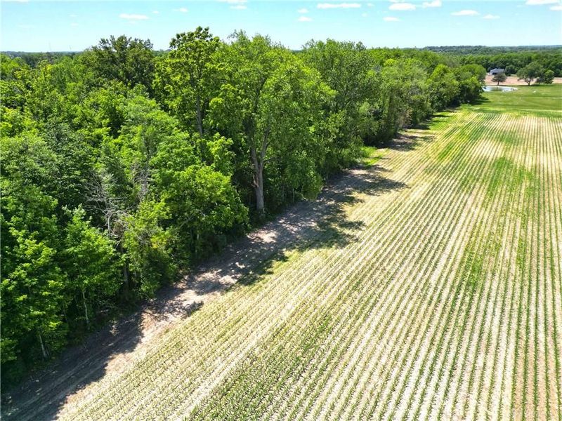 Tract 3 Hedges Road, Xenia Township, OH 45385 Photo 17